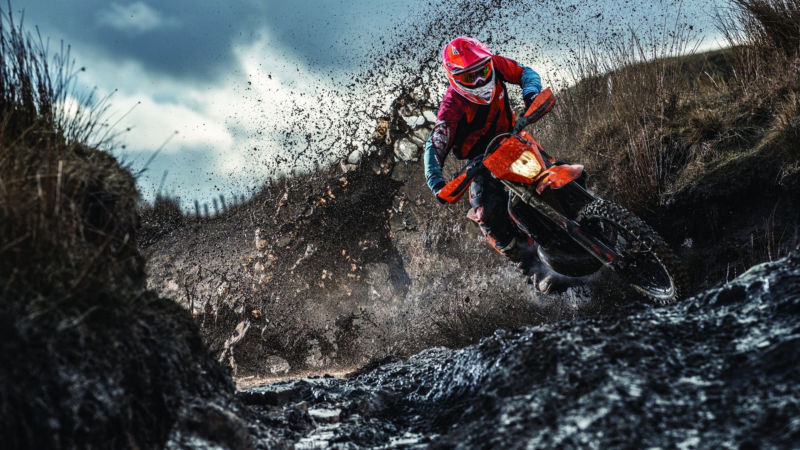 当蓝黑军团遇见袋鼠军团，赖斯领导下的战术实验与胜利启示